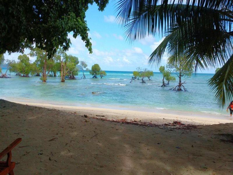 Coconhuts Beach Resort Lakshmanpur Εξωτερικό φωτογραφία