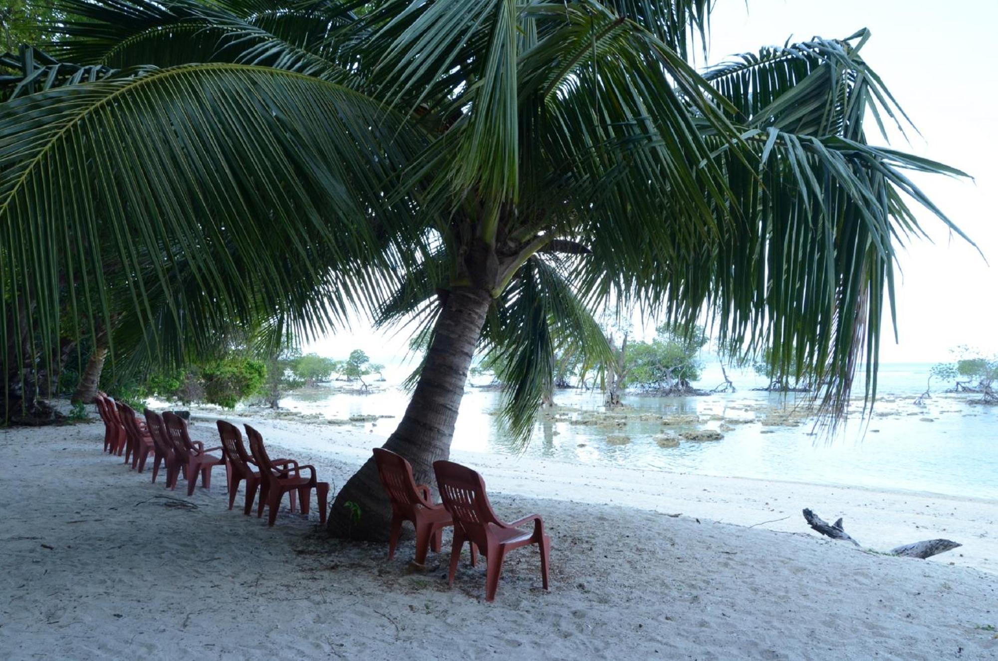 Coconhuts Beach Resort Lakshmanpur Εξωτερικό φωτογραφία