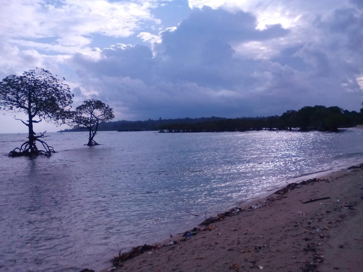 Coconhuts Beach Resort Lakshmanpur Εξωτερικό φωτογραφία